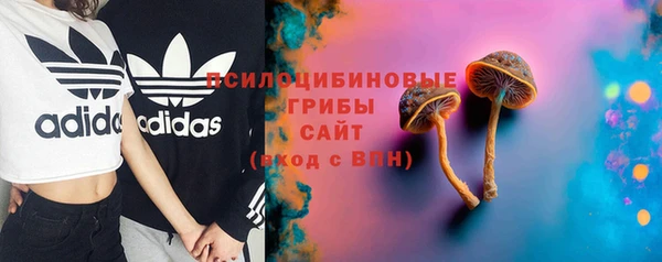 гидропоника Карпинск