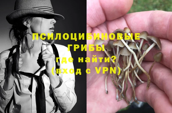 спиды Карталы