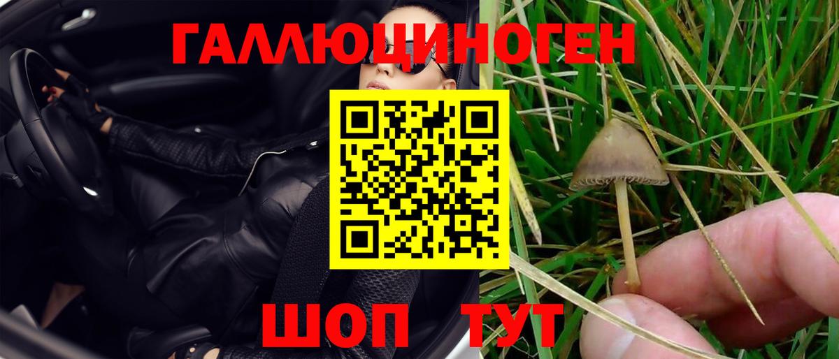 Нижний Тагил  Псилоцибиновые грибы мицелий  Вход с VPN 